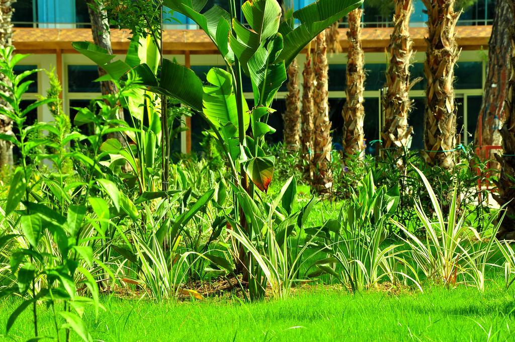 סייד Maya World Hotel All Inclusive מראה חיצוני תמונה